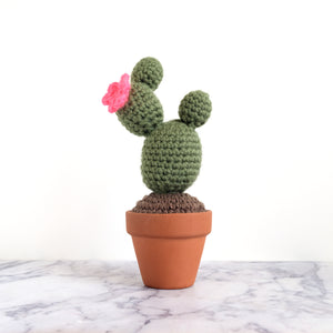 Crochet Cactus - Maureen