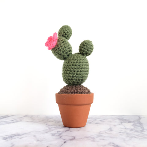 Crochet Cactus - Maureen