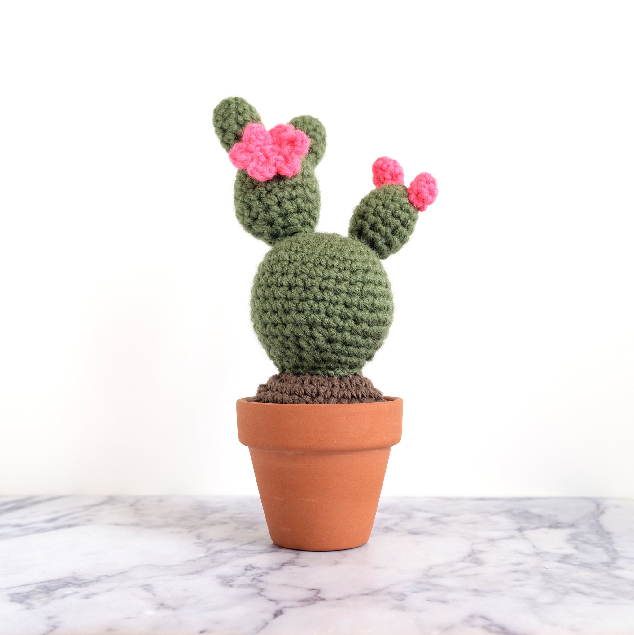 Crochet Cactus - Brigitta