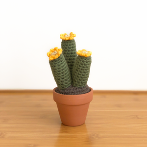 Crochet Cactus - Doris